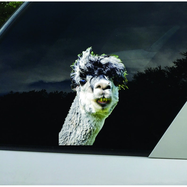 Alpaca sticker - vinyl decal by Growing Tree Gallery