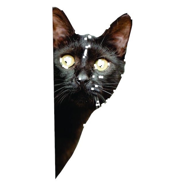 Black cat sticker - vinyl decal by Growing Tree Gallery