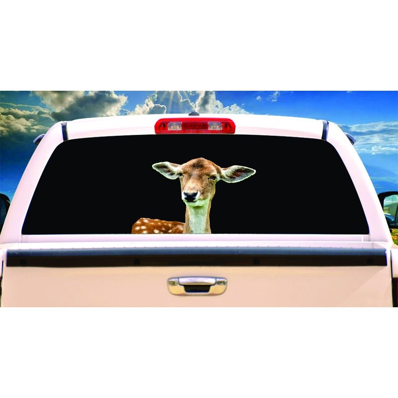 Deer Sticker - Multiple Sizes Realistic deer decal, deer sticker car decal - premium vinyl decal by Growing Tree Gallery