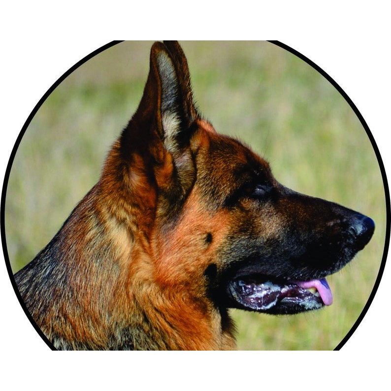 German shepherd - Multiple Sizes lap top decal - GSD car decal - premium vinyl decal by Growing Tree Gallery
