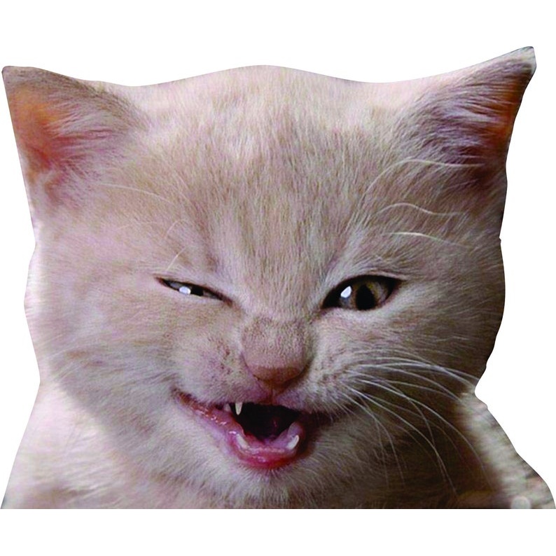 Kitten Car Decal - Multiple Sizes orange tabby cat, cat sticker, cat decal - premium vinyl decal by Growing Tree Gallery