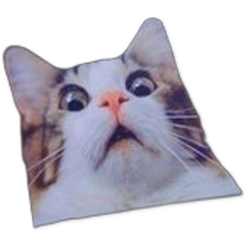 Scaredy Cat Vinyl Decal - Car Sticker - vinyl decal by Growing Tree Gallery