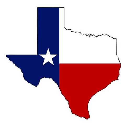 Texas decal - Texas Car Decal - Laptop sticker - Outdoor Vinyl - Car Decal - vinyl decal by Growing Tree Gallery